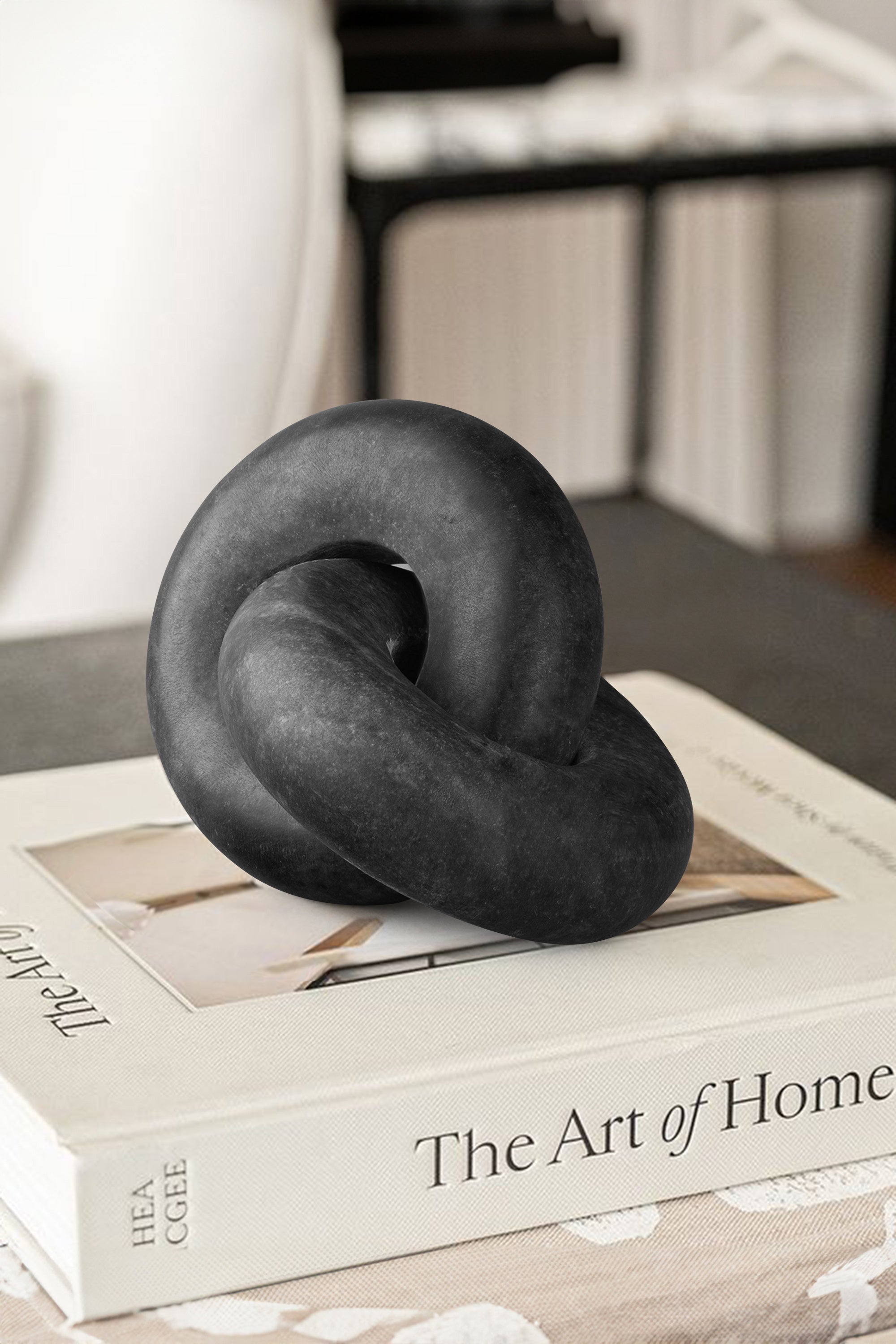 Black marble knot with interlocking form displayed on stacked books, emphasizing curved silhouette and material depth