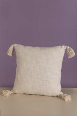 Etawah Throw Pillow with Insert, 18X18