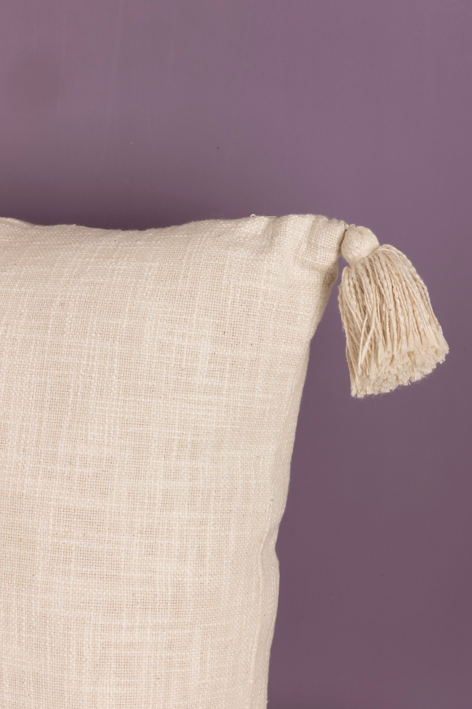 Soft textured throw pillow with handmade tassels, perfect for living room or bedroom decor